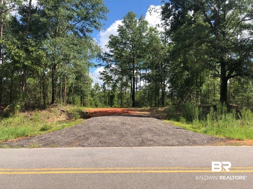 12359 Red Hill Rd Extension Bay Minette, AL 36507 - Photo 14 of 16