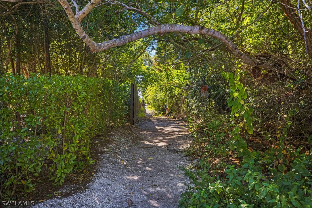 705 Rabbit Road Sanibel, FL 33957 - Photo 33 of 35 a view of a yard with plants and trees
