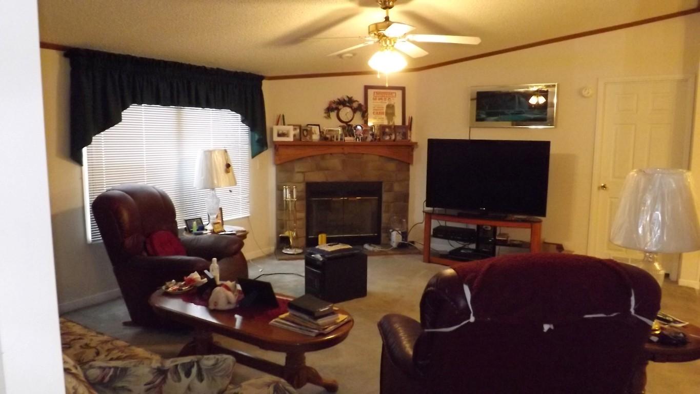 338 Firetower Road Grandview, TN 37337 - Photo 3 of 47 fireplace in living room (Medium)