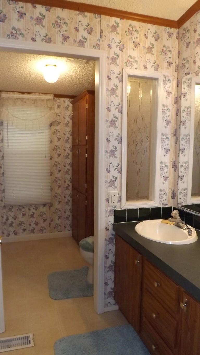 338 Firetower Road Grandview, TN 37337 - Photo 24 of 47 master bath (2) (Medium)