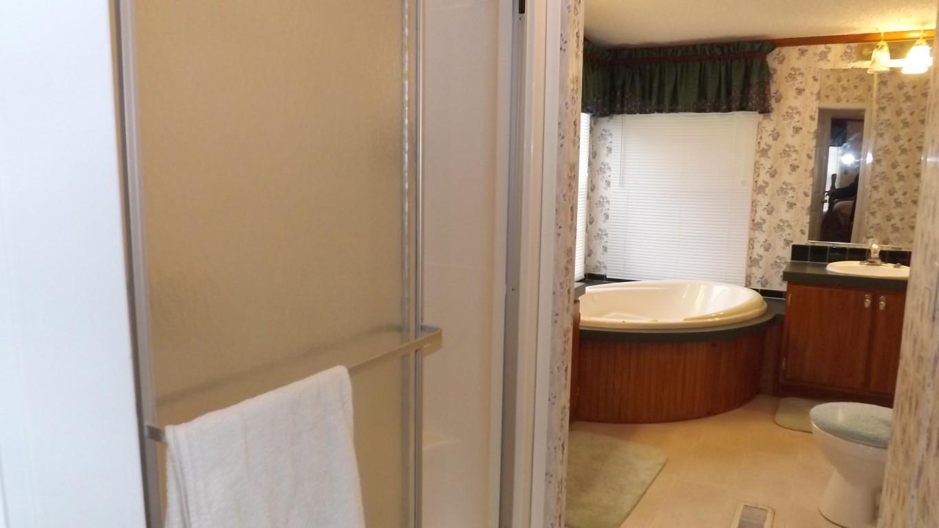 338 Firetower Road Grandview, TN 37337 - Photo 29 of 47 master bath (Medium)
