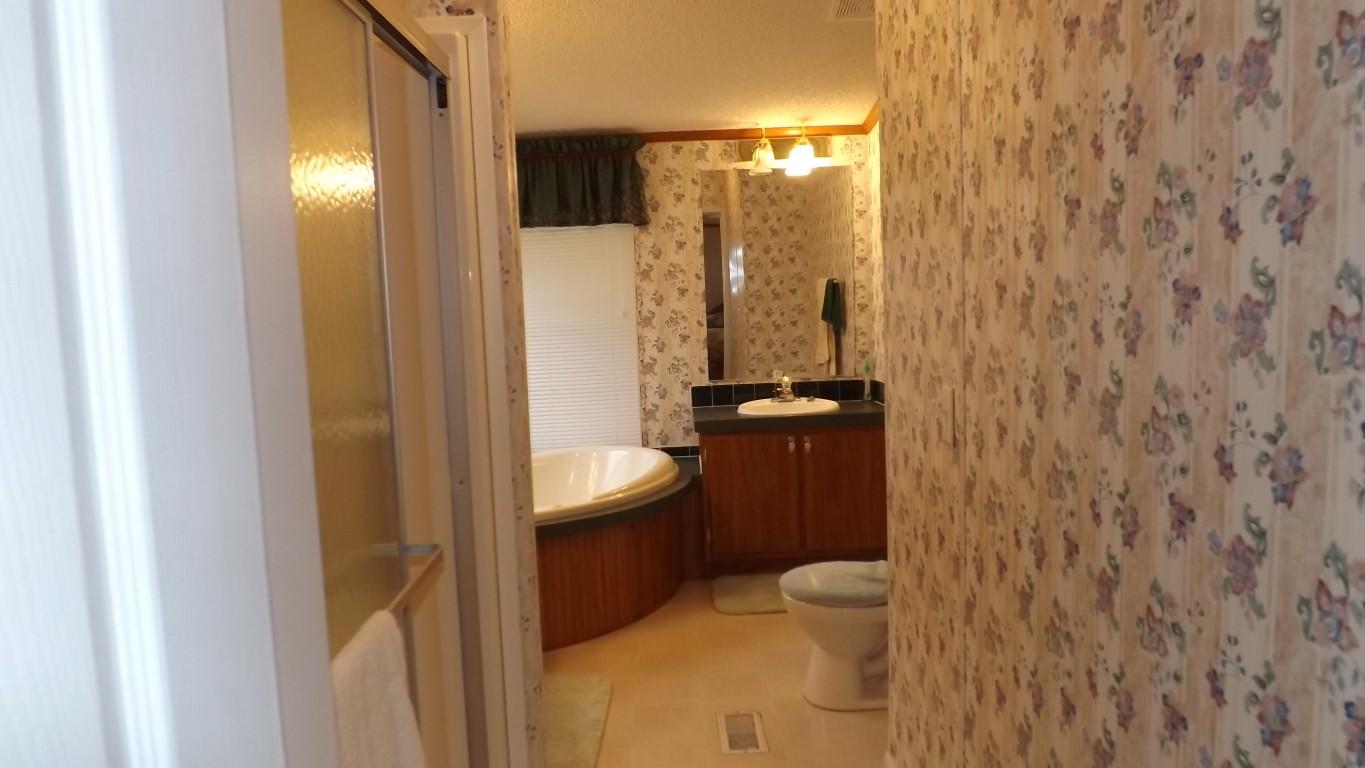 338 Firetower Road Grandview, TN 37337 - Photo 30 of 47 master bath 2 (Medium)