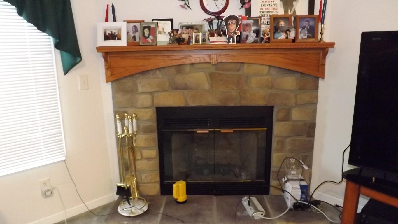 338 Firetower Road Grandview, TN 37337 - Photo 4 of 47 fireplace (Medium)