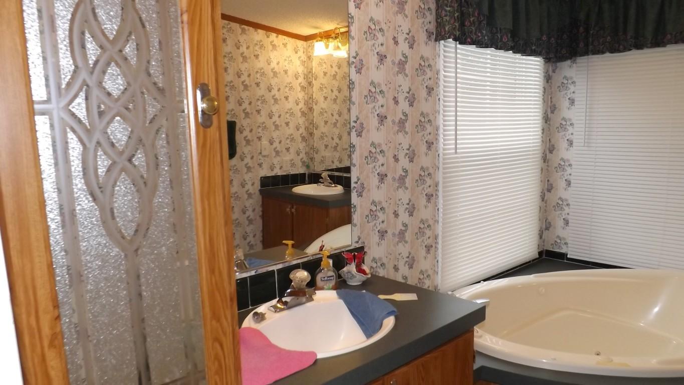338 Firetower Road Grandview, TN 37337 - Photo 41 of 47 master bath 3 (Medium)
