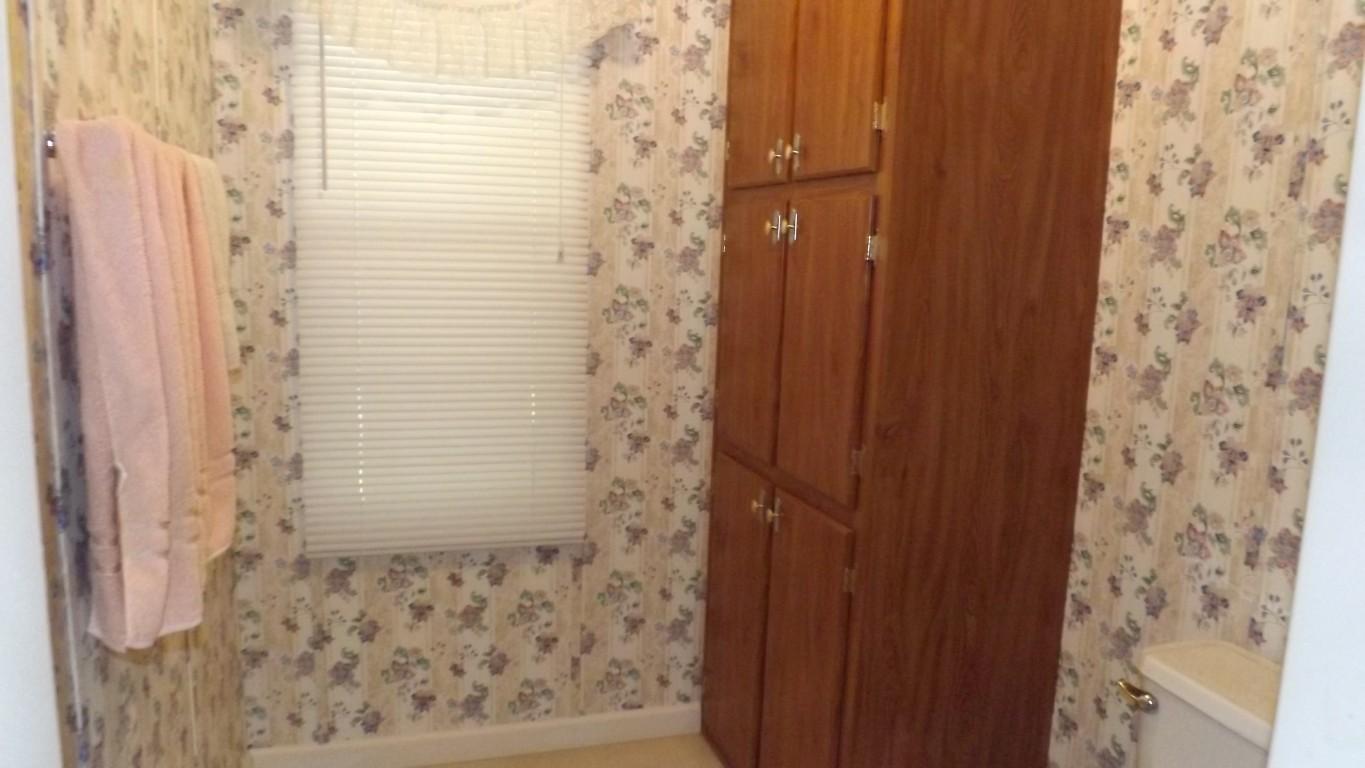 338 Firetower Road Grandview, TN 37337 - Photo 47 of 47 storage in bathroom (Medium)