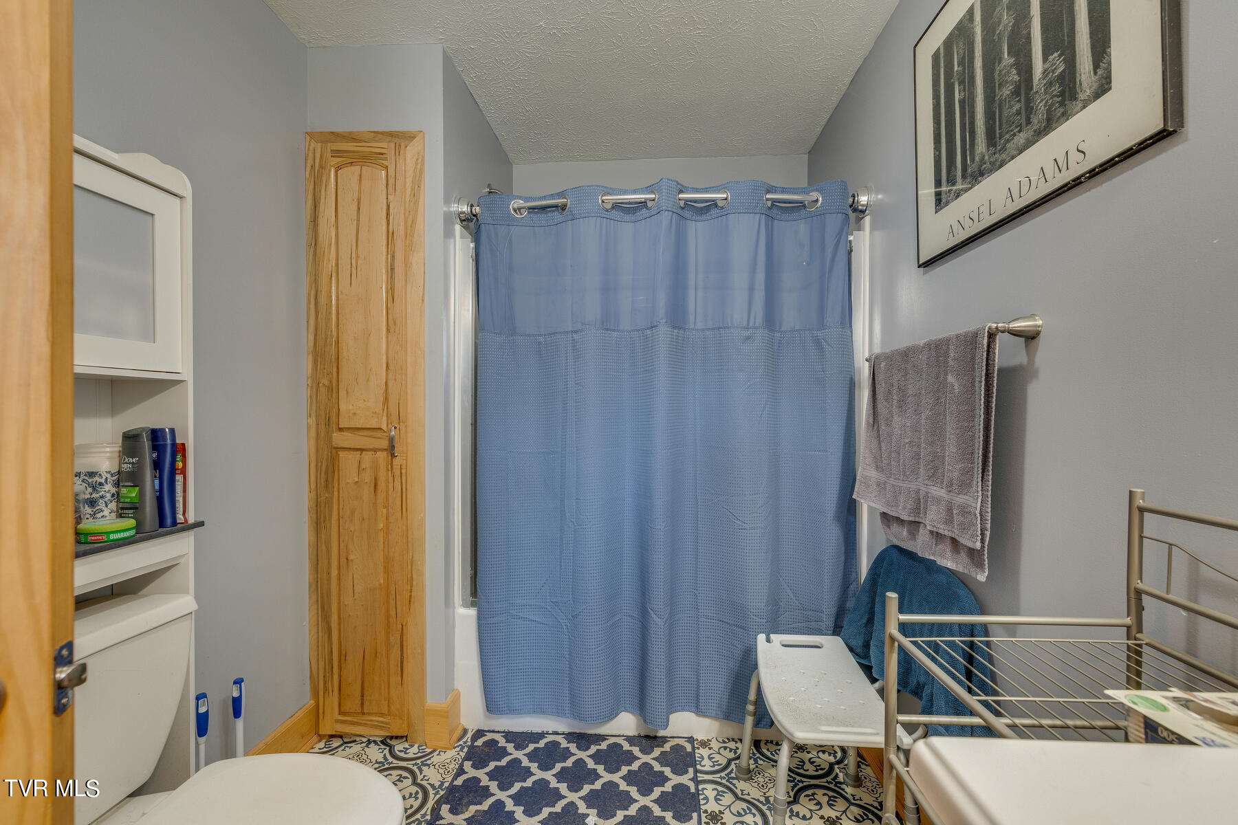 1307 Siam Road Elizabethton, TN 37643 - Photo 16 of 25 016