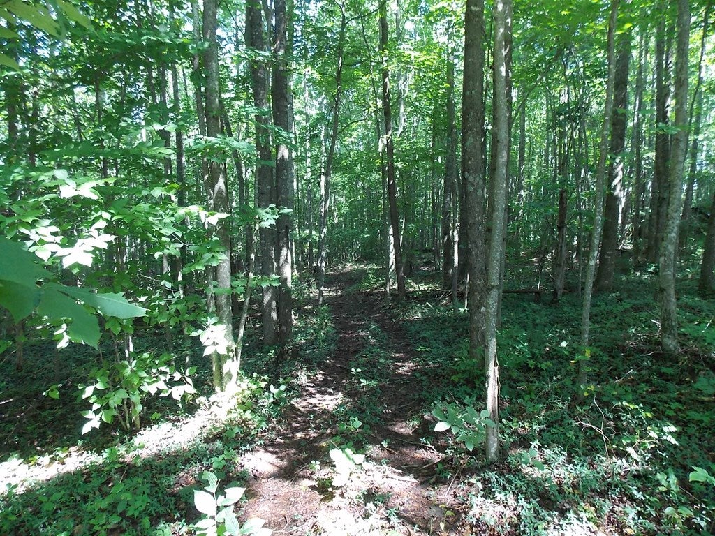 Tbd Dugspur Road Dugspur, VA 24325 - Photo 4 of 19 Gallery Image 4