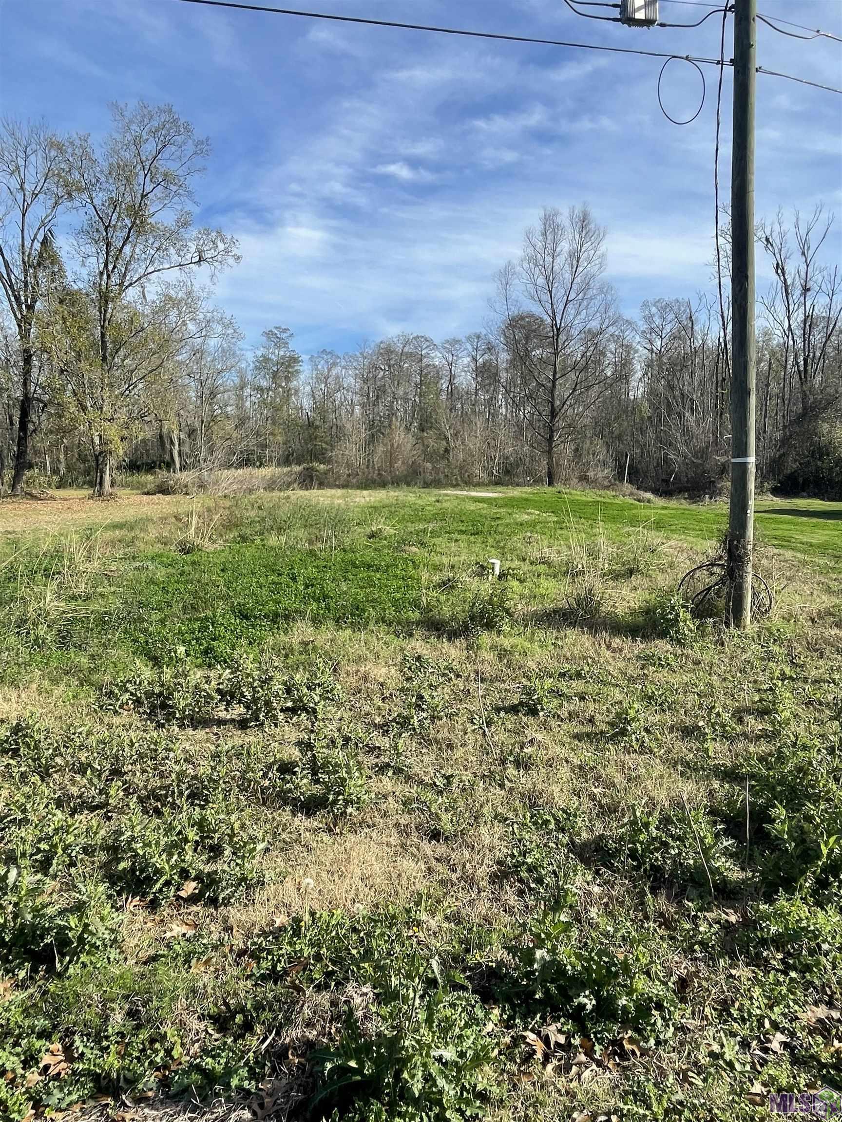 8386 Phillips Road St. Amant, LA 70774 - Photo 2 of 2