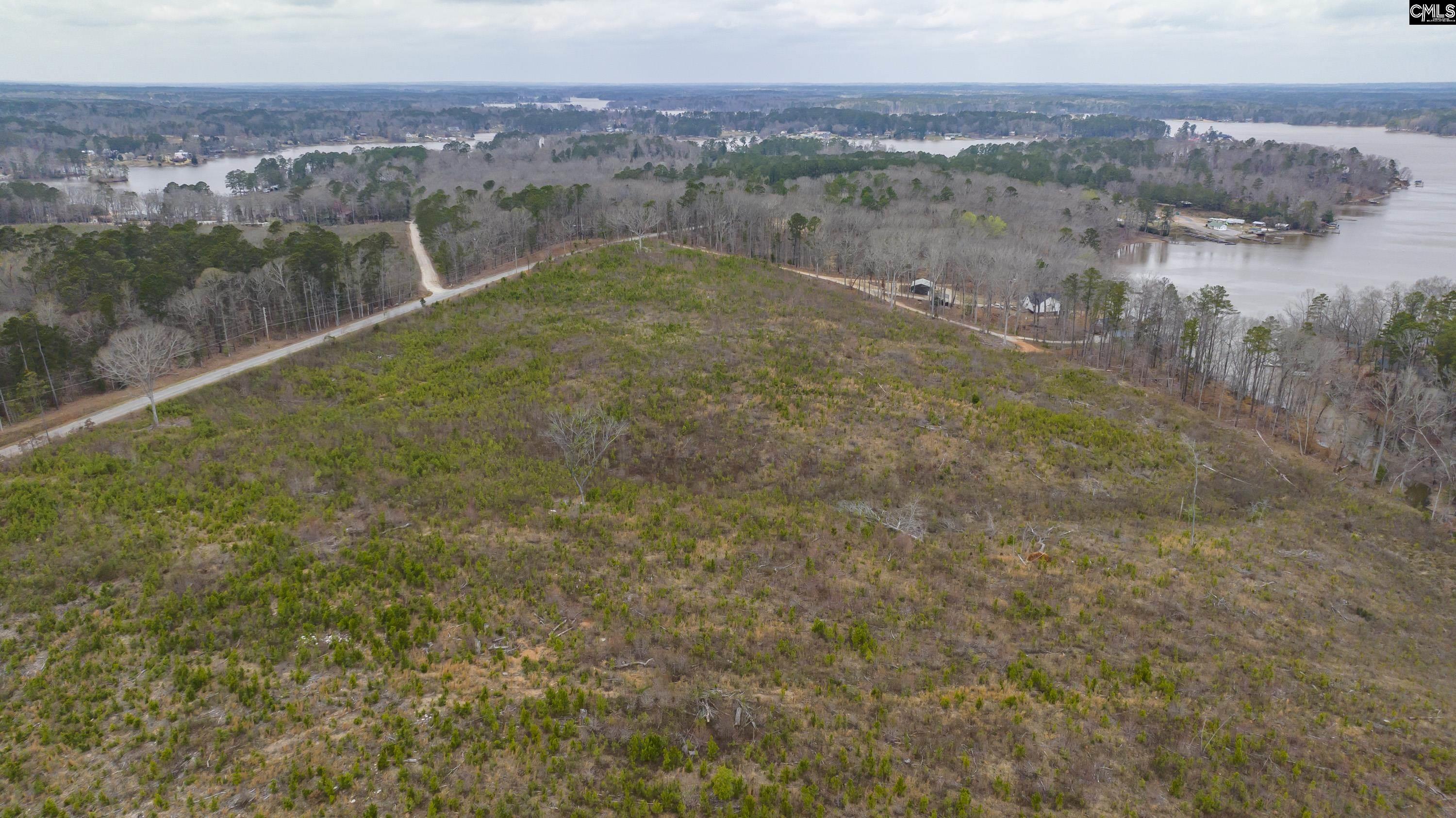 0 Rock N Creek Road Leesville, SC 29070 - Photo 9 of 12