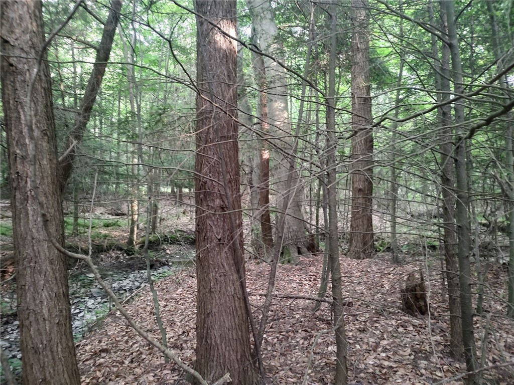 West Road Albion, PA 16401 - Photo 11 of 20 STREAM BED ON LONGEST DAY OF THE YEAR