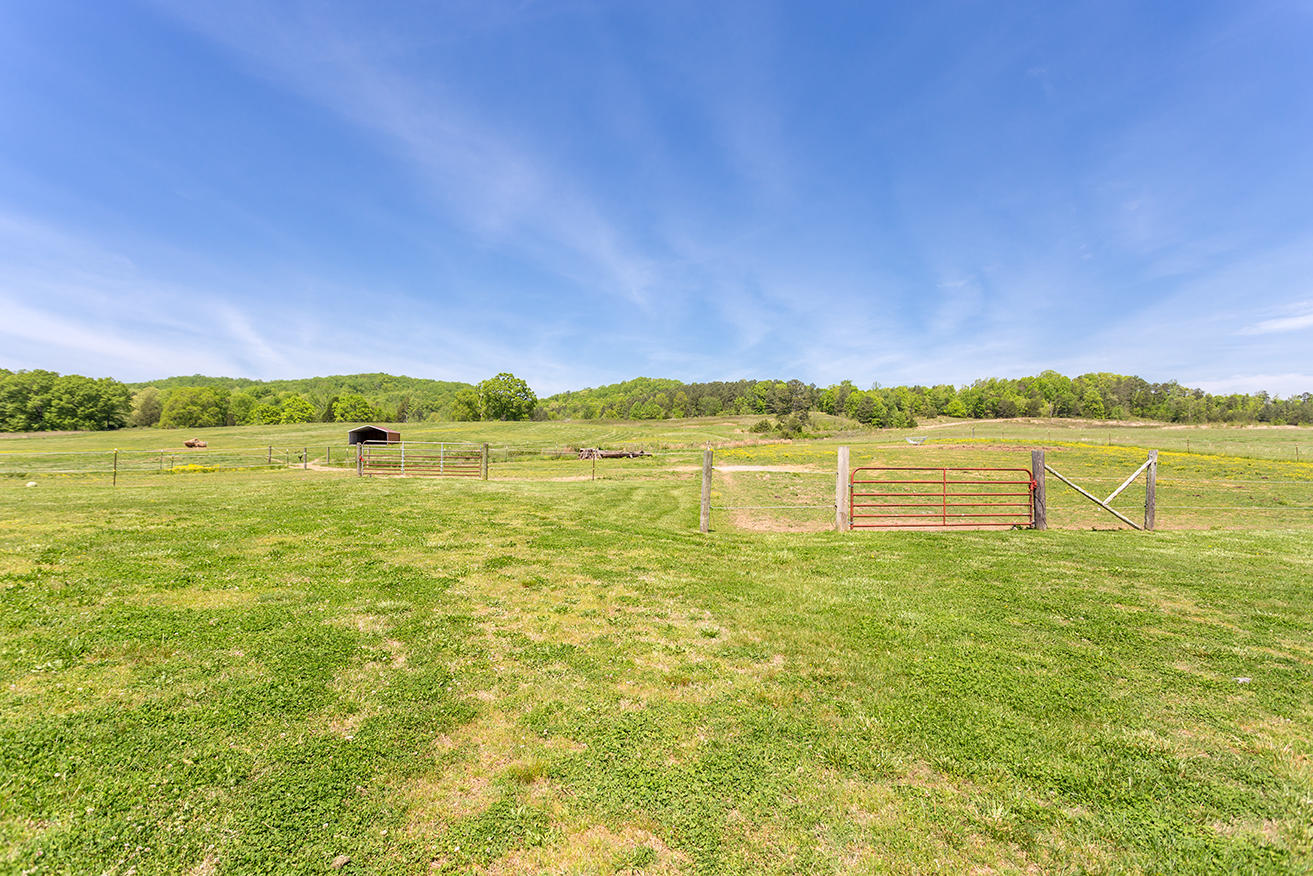 1387 South No Pone Valley Road Decatur, TN 37322 - Photo 35 of 58 IMG_6394