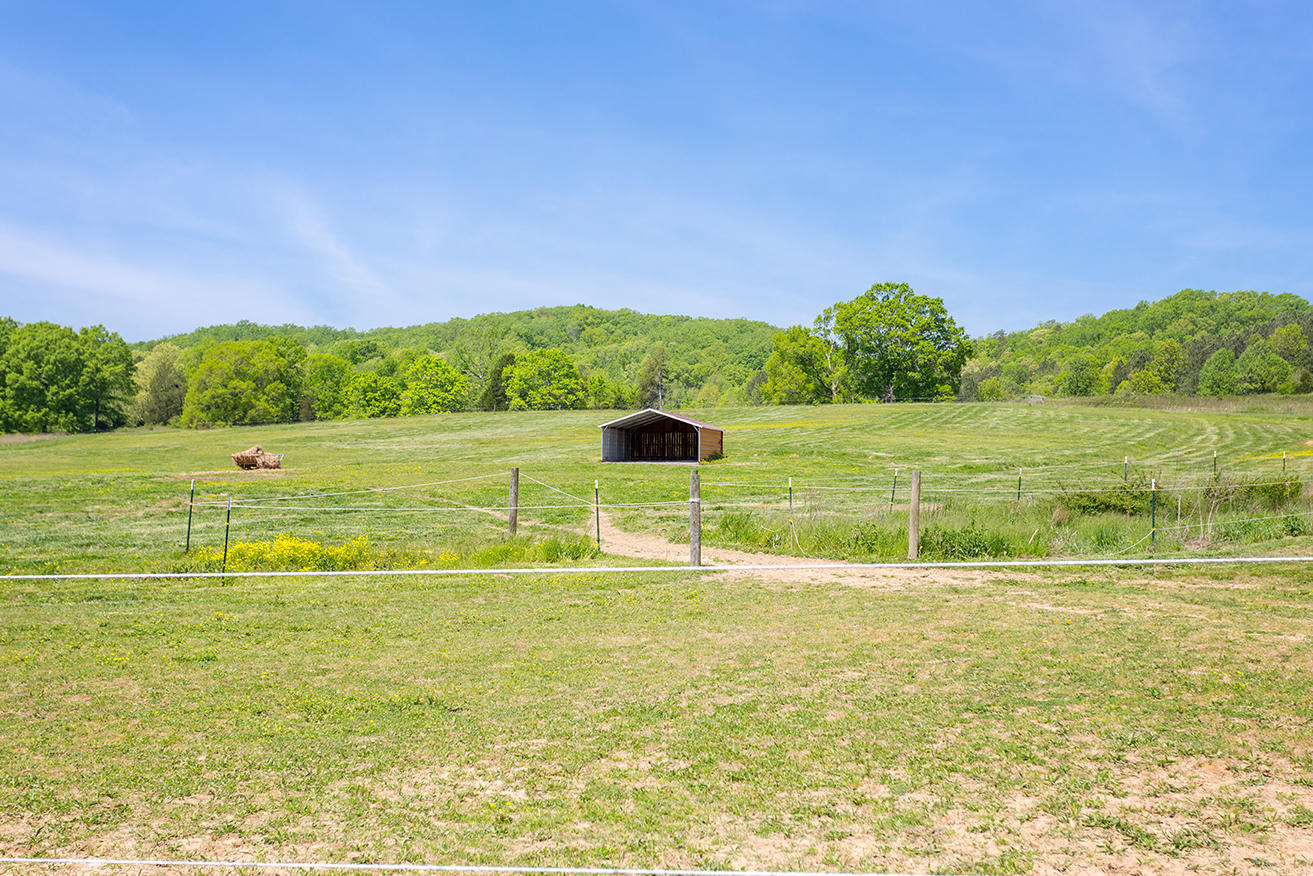 1387 South No Pone Valley Road Decatur, TN 37322 - Photo 36 of 58 IMG_6397