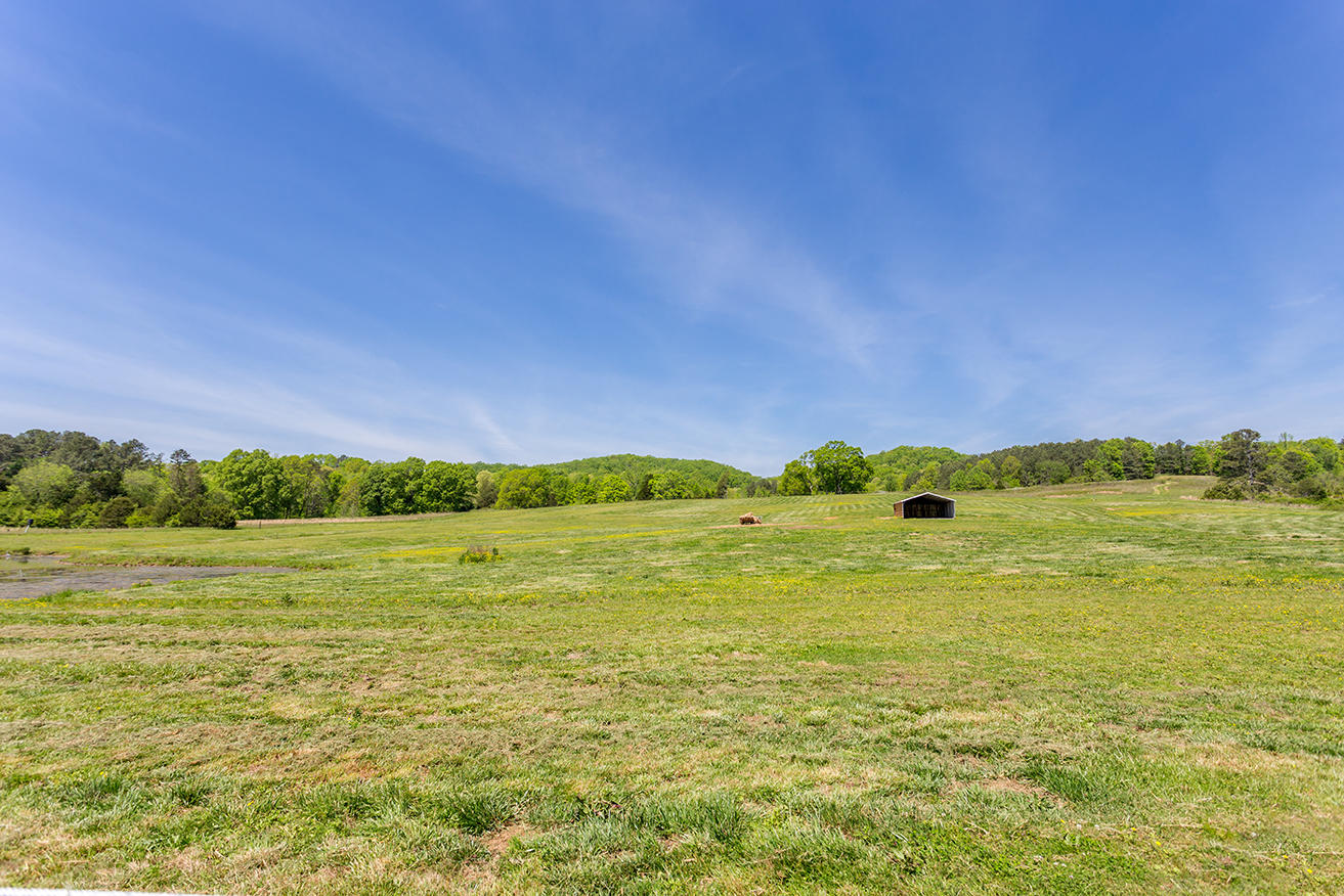 1387 South No Pone Valley Road Decatur, TN 37322 - Photo 38 of 58 IMG_6403