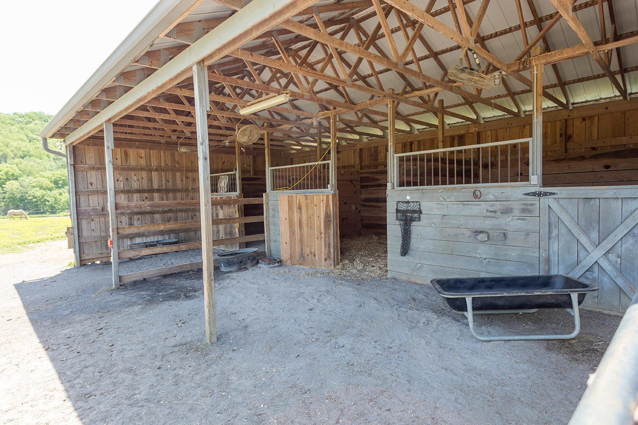 1387 South No Pone Valley Road Decatur, TN 37322 - Photo 51 of 58 IMG_6462