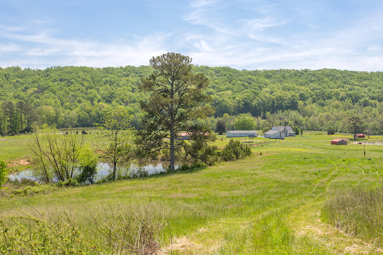 1387 South No Pone Valley Road Decatur, TN 37322 - Photo 53 of 58 IMG_6471