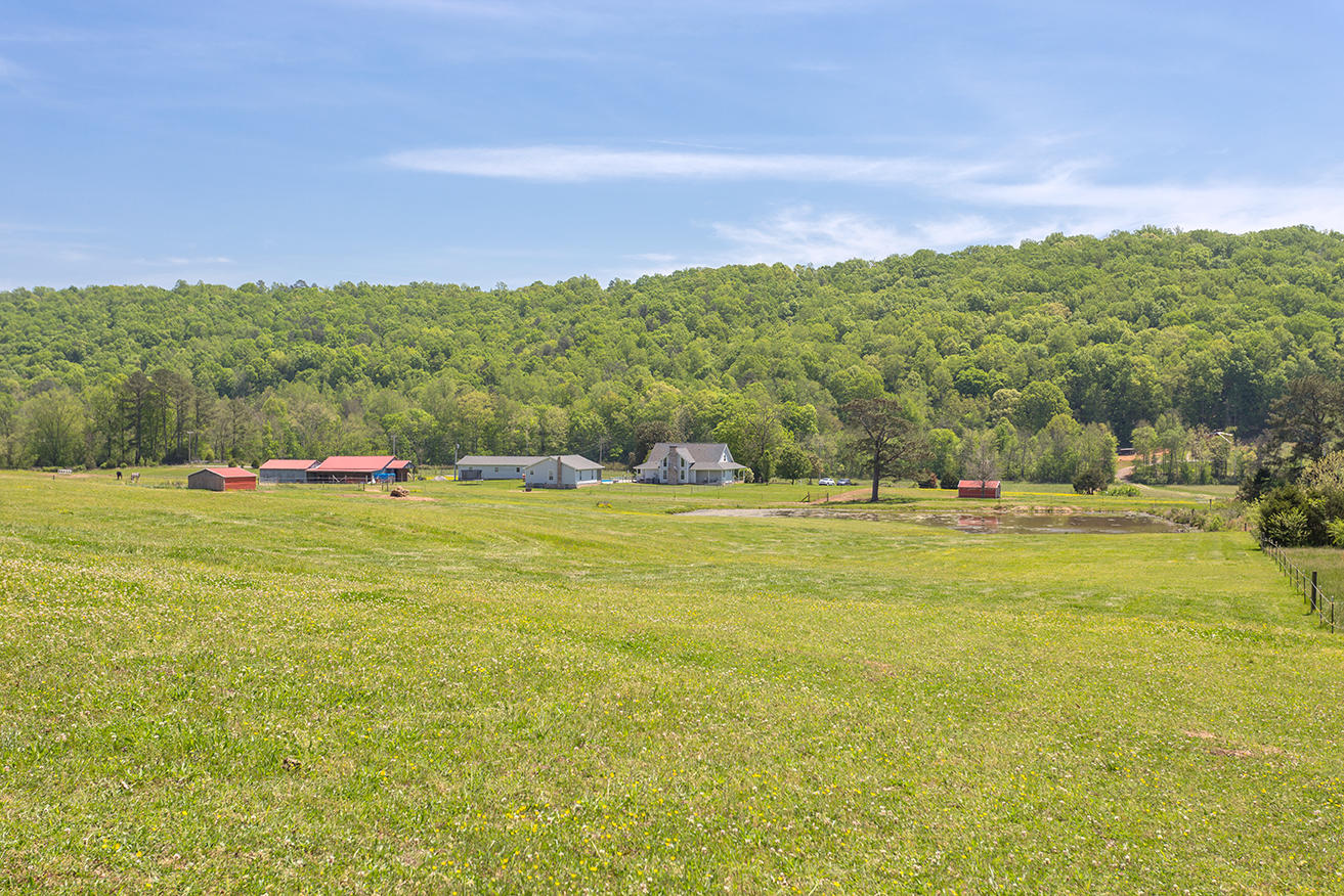 1387 South No Pone Valley Road Decatur, TN 37322 - Photo 54 of 58 IMG_6473