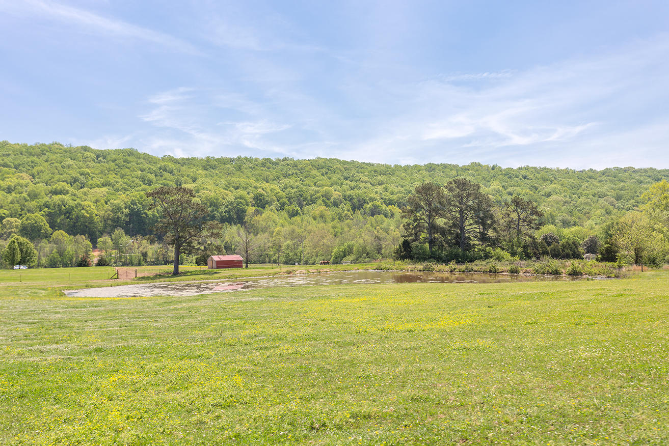 1387 South No Pone Valley Road Decatur, TN 37322 - Photo 56 of 58 IMG_6480