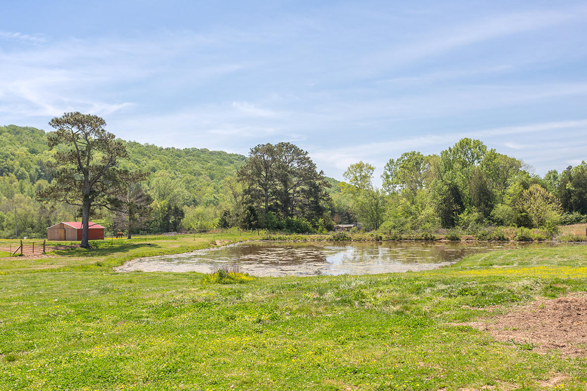 1387 South No Pone Valley Road Decatur, TN 37322 - Photo 57 of 58 IMG_6482