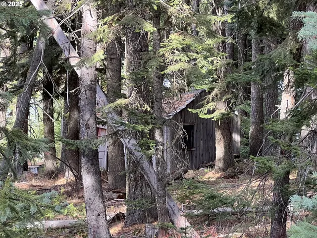 a view of a house with a tree
