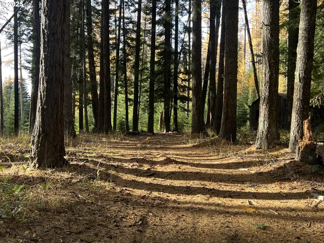 a view of backyard with green space