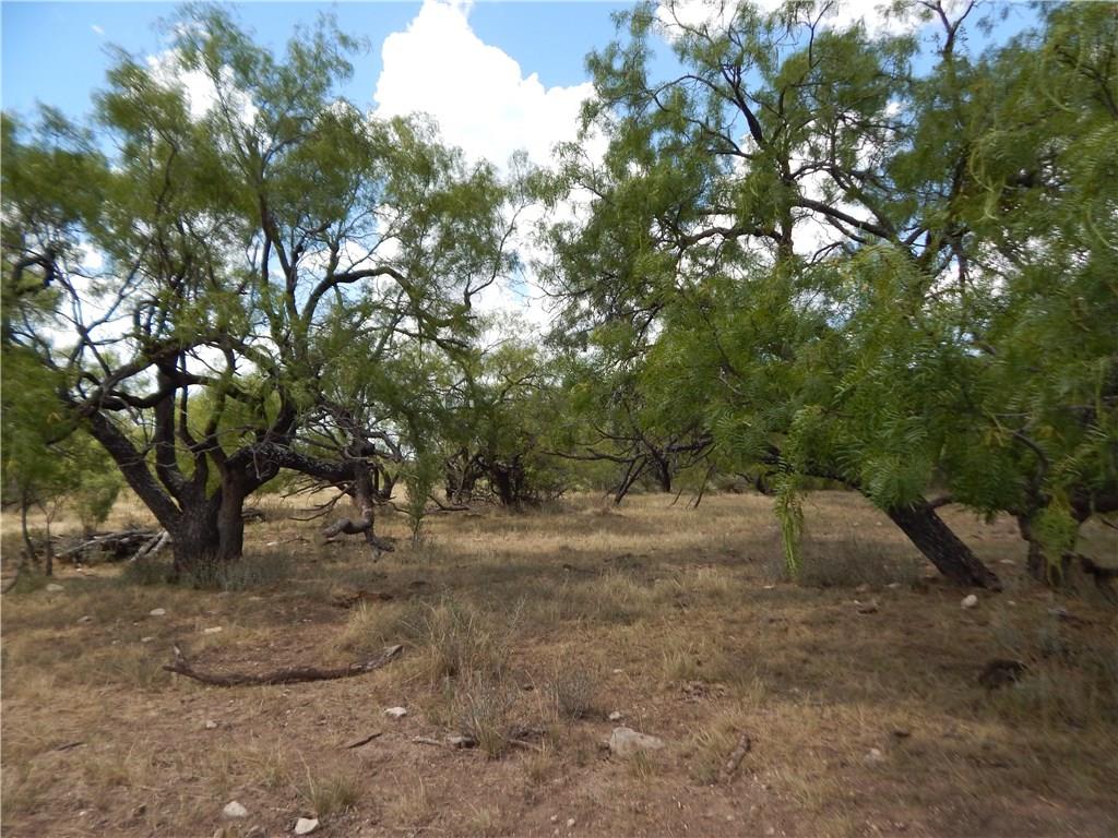 356 Lohn Tx 76852 Lohn, TX 76852 - Photo 12 of 36 a view of dirt yard with a tree