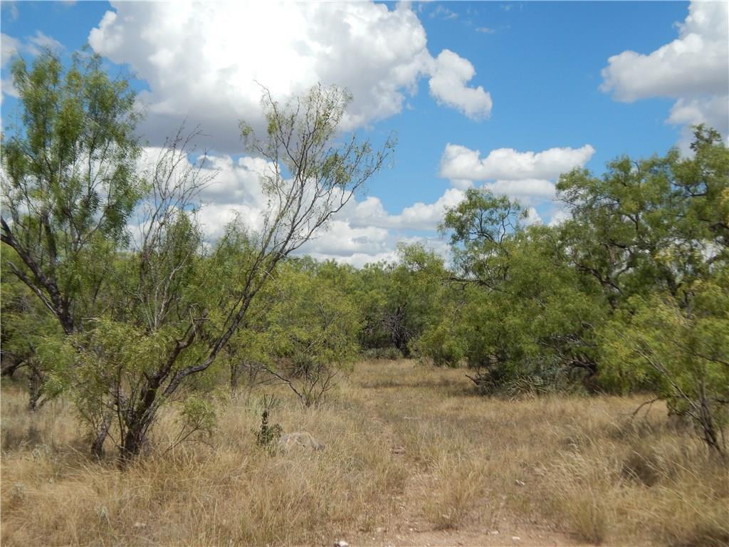 356 Lohn Tx 76852 Lohn, TX 76852 - Photo 13 of 36 a view of a forest with a tree