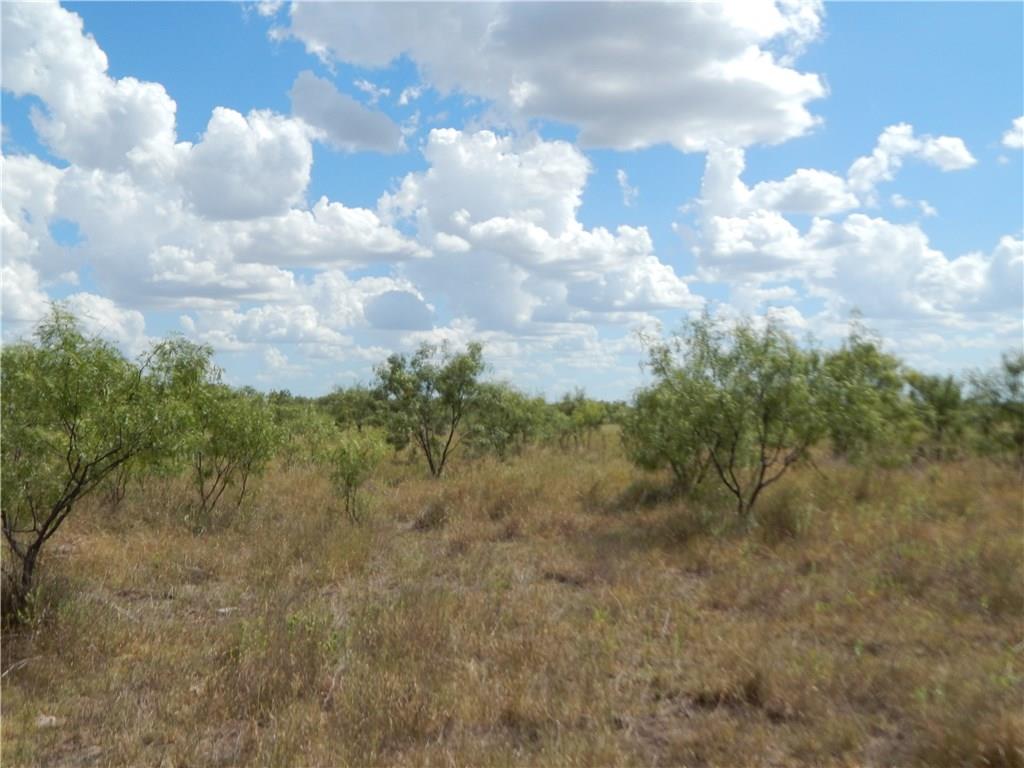 356 Lohn Tx 76852 Lohn, TX 76852 - Photo 14 of 36 a view of a lot of trees