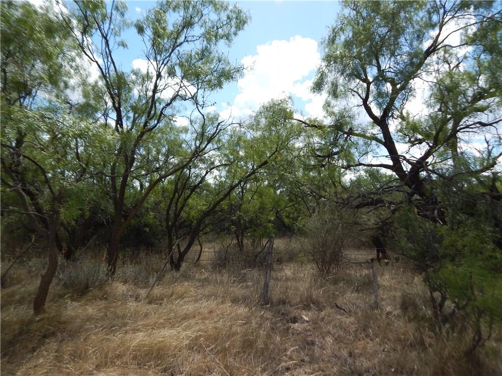356 Lohn Tx 76852 Lohn, TX 76852 - Photo 17 of 36 a view of a forest with trees in the background
