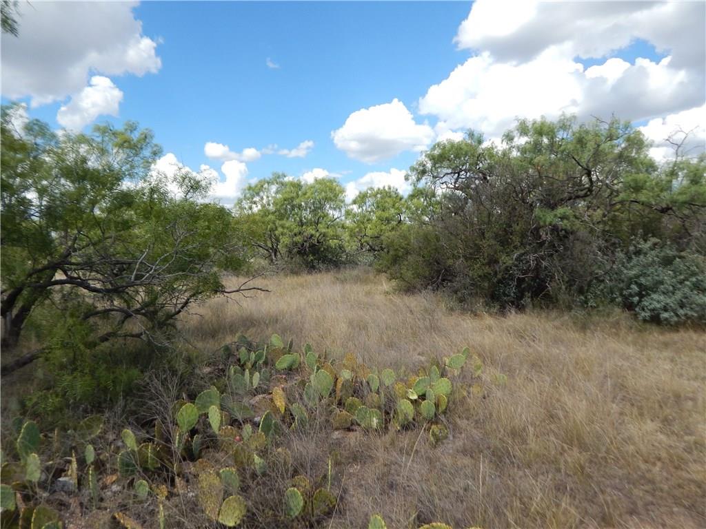 356 Lohn Tx 76852 Lohn, TX 76852 - Photo 19 of 36 a view of a lush green forest with lots of trees