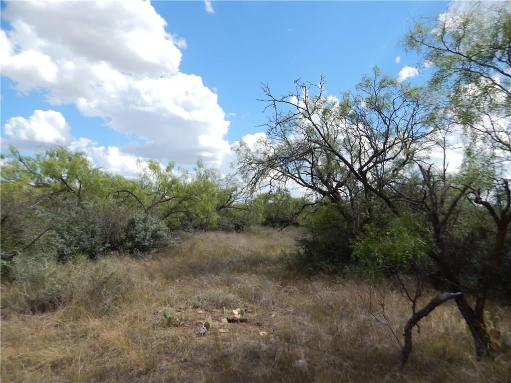 356 Lohn Tx 76852 Lohn, TX 76852 - Photo 20 of 36 a view of a yard with a tree