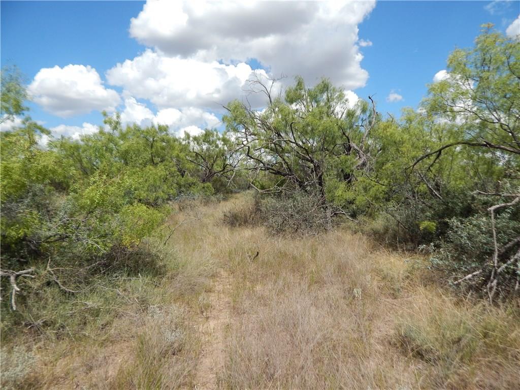 356 Lohn Tx 76852 Lohn, TX 76852 - Photo 21 of 36 a view of a bunch of trees in the background