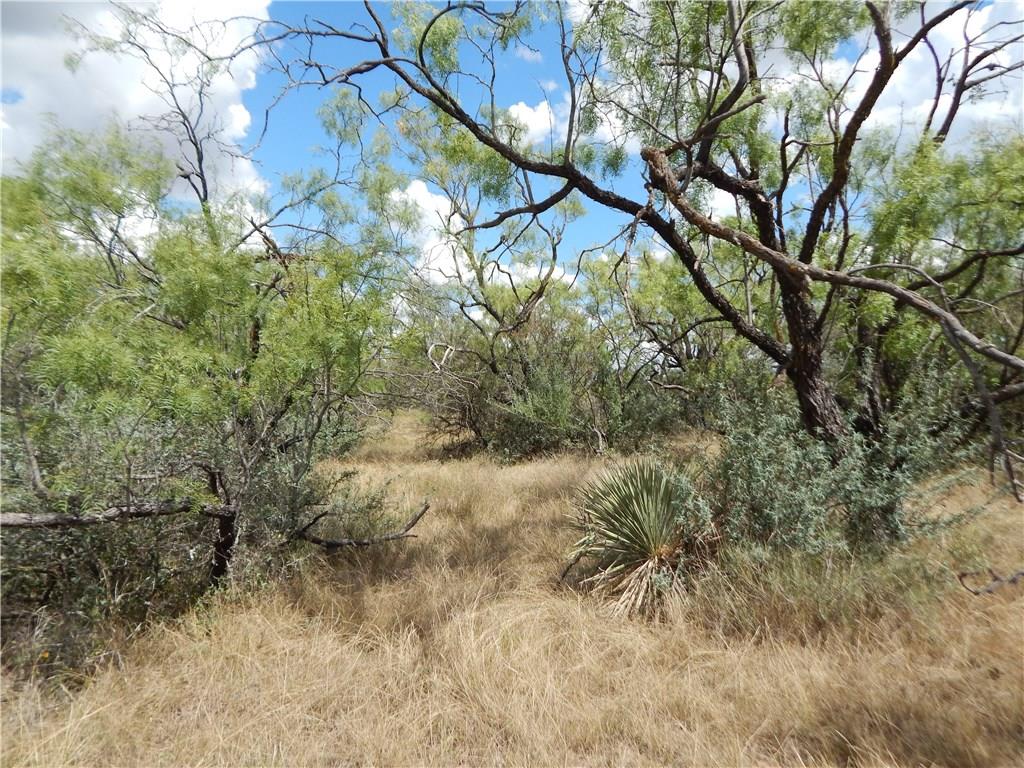 356 Lohn Tx 76852 Lohn, TX 76852 - Photo 22 of 36 a view of a yard