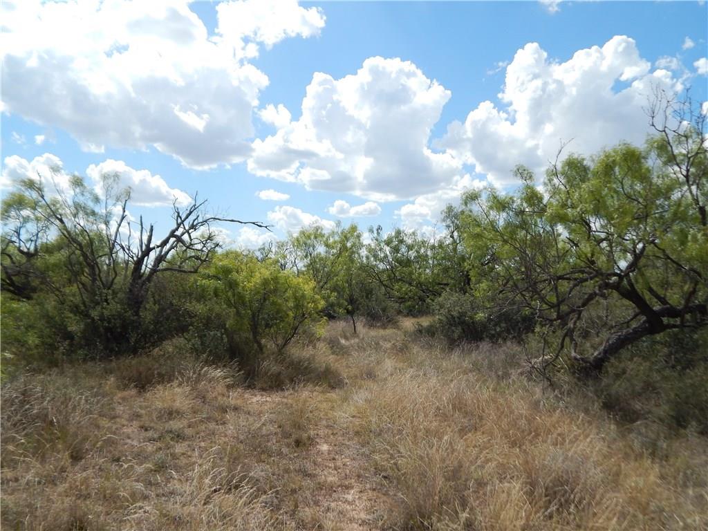 356 Lohn Tx 76852 Lohn, TX 76852 - Photo 24 of 36 a view of a dry yard with lots of trees