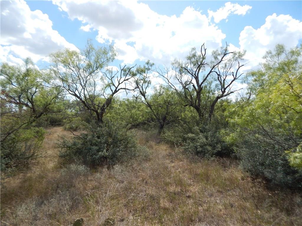 356 Lohn Tx 76852 Lohn, TX 76852 - Photo 25 of 36 a view of a forest with trees in back