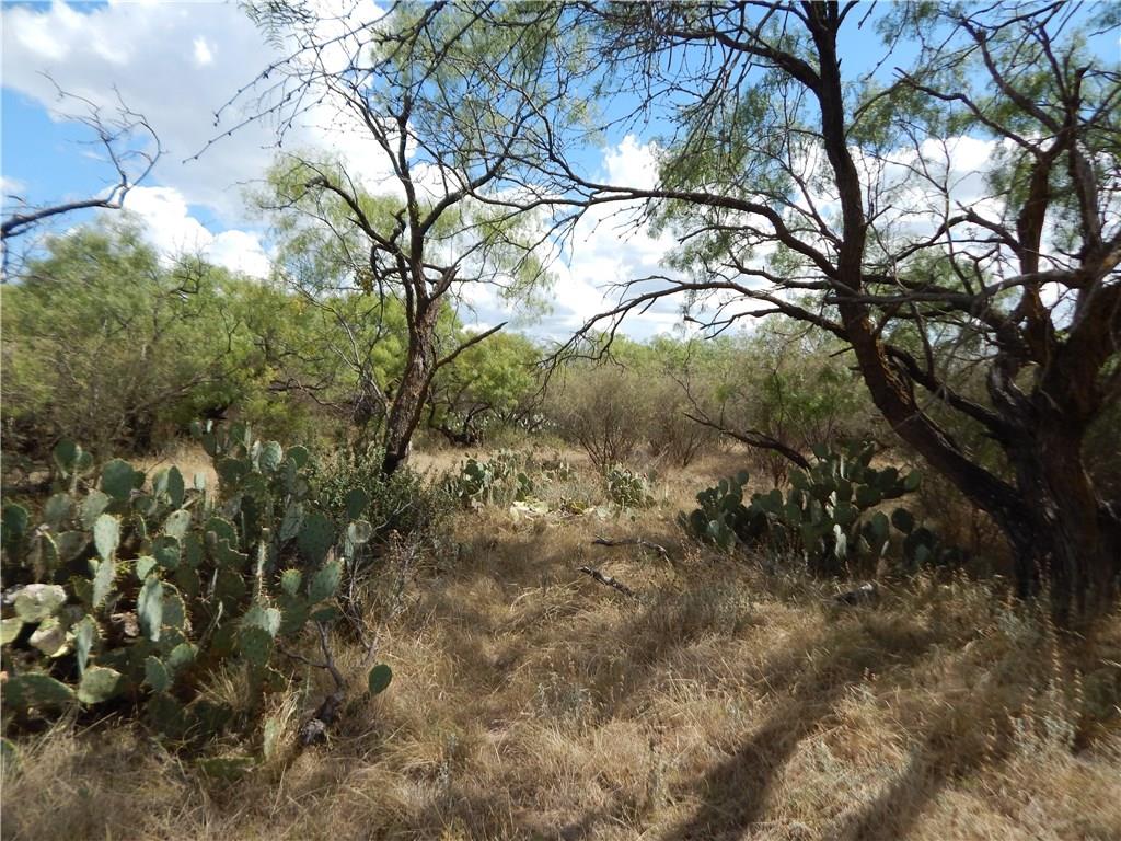 356 Lohn Tx 76852 Lohn, TX 76852 - Photo 26 of 36 a view of a tree in a yard