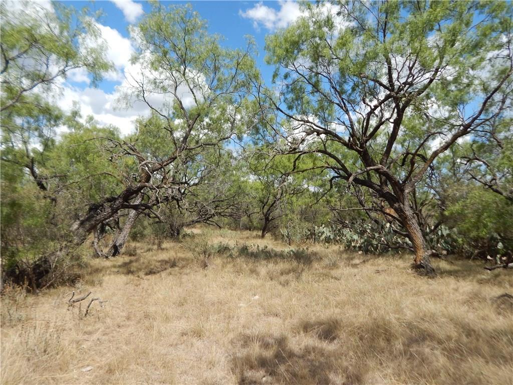 356 Lohn Tx 76852 Lohn, TX 76852 - Photo 28 of 36 a view of a yard with large trees