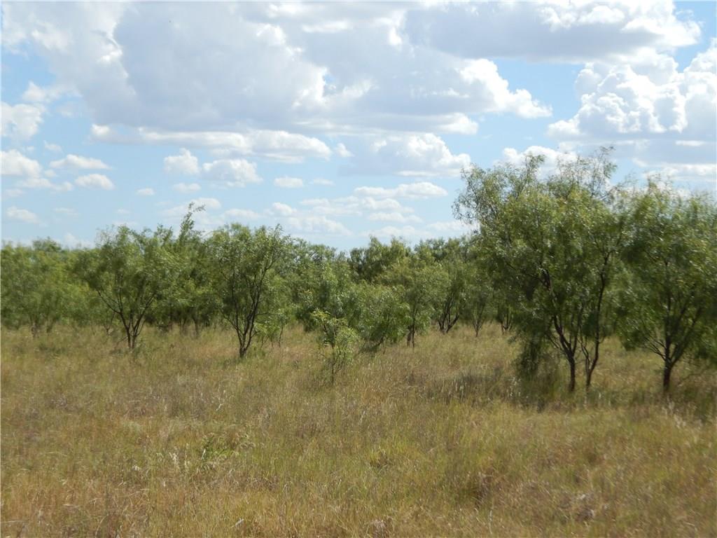 356 Lohn Tx 76852 Lohn, TX 76852 - Photo 29 of 36 a view of a lake with houses