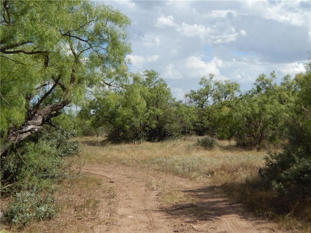 356 Lohn Tx 76852 Lohn, TX 76852 - Photo 36 of 36 a view of a yard with trees