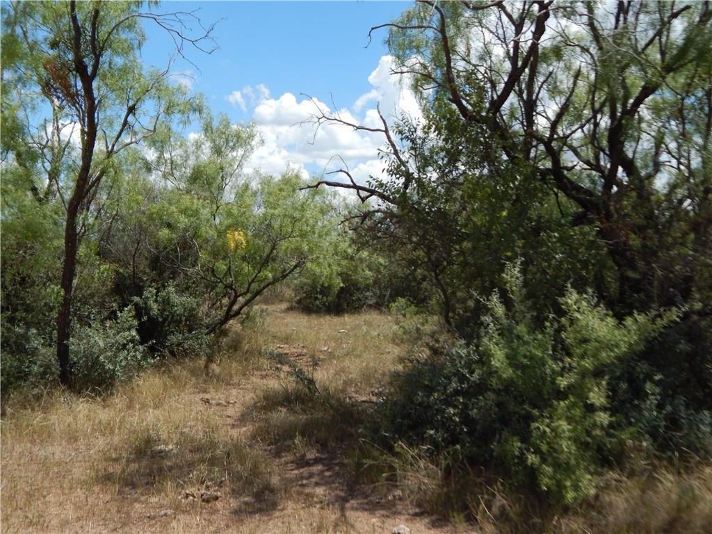 356 Lohn Tx 76852 Lohn, TX 76852 - Photo 5 of 36 a view of a forest with trees in the background