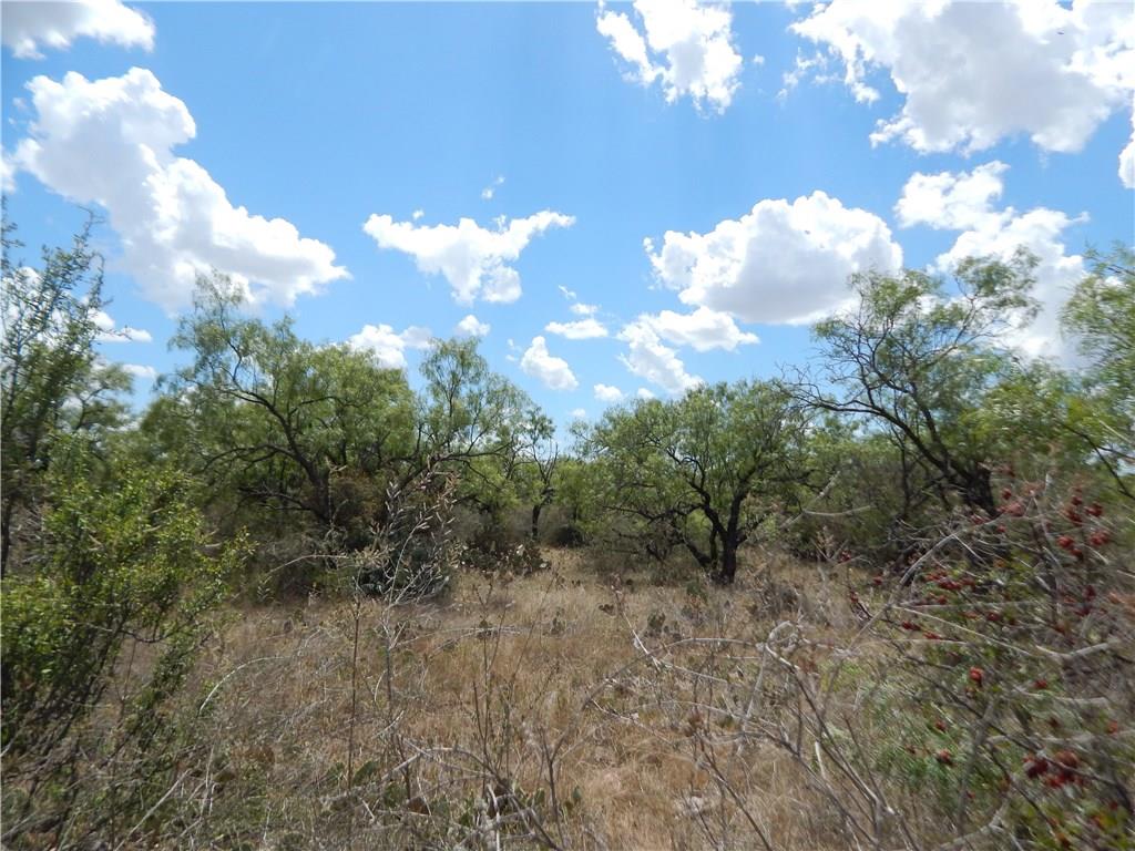 356 Lohn Tx 76852 Lohn, TX 76852 - Photo 6 of 36 a view of a bunch of trees
