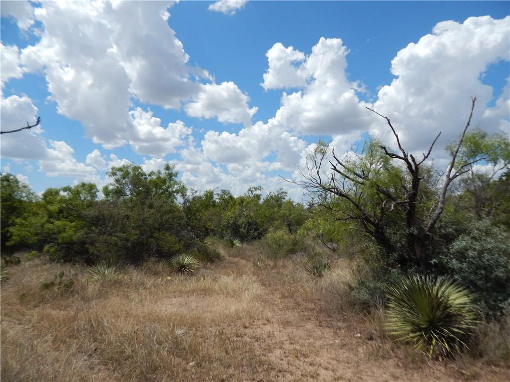 356 Lohn Tx 76852 Lohn, TX 76852 - Photo 9 of 36 a view of a city