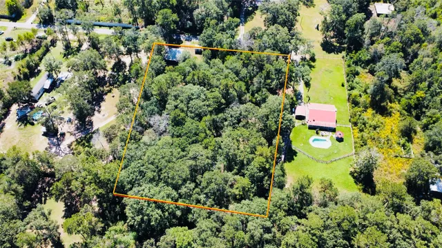 a view of a garden with a tree