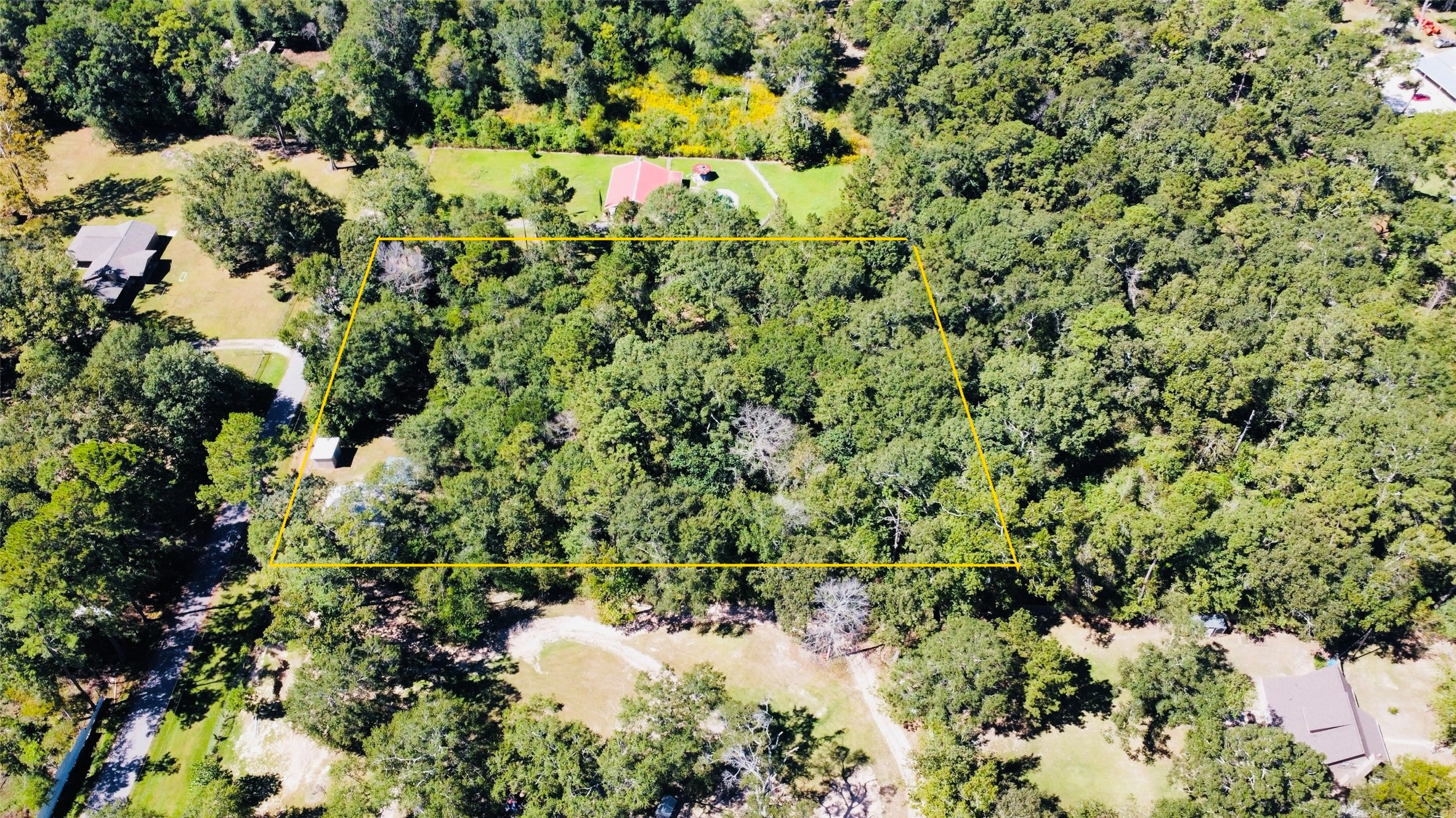402 County Road 3708 Splendora, TX 77372 - Photo 7 of 11 a view of a bunch of flowers in a garden