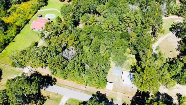 a picture of flowers