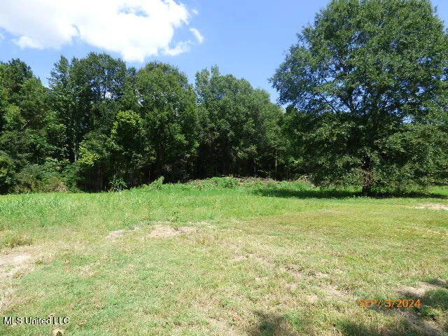 $145,000 | 1049 Johnson Lane, Port Gibson, MS 39150