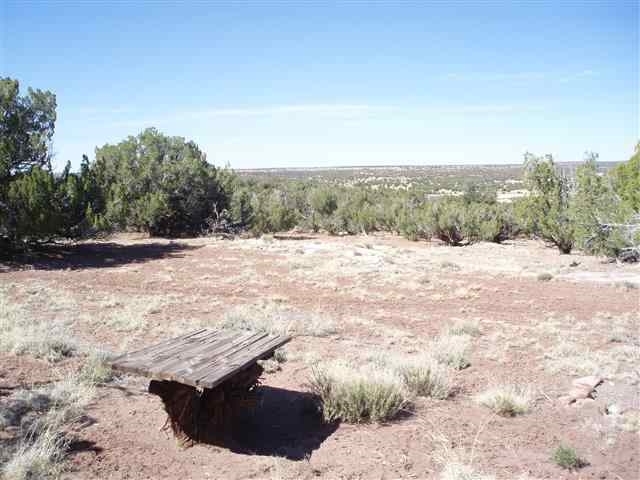 139 Idlewild Ranch Show Low, AZ 85901 - Photo 11 of 13