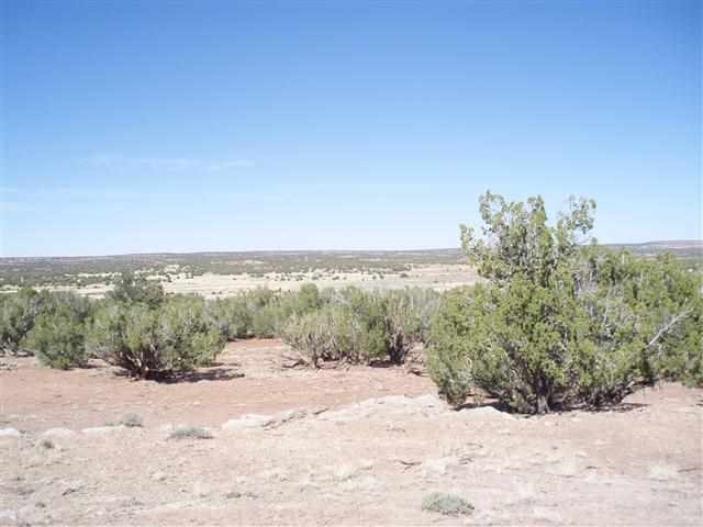139 Idlewild Ranch Show Low, AZ 85901 - Photo 12 of 13