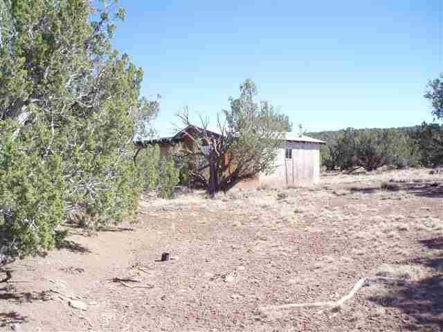 139 Idlewild Ranch Show Low, AZ 85901 - Photo 2 of 13
