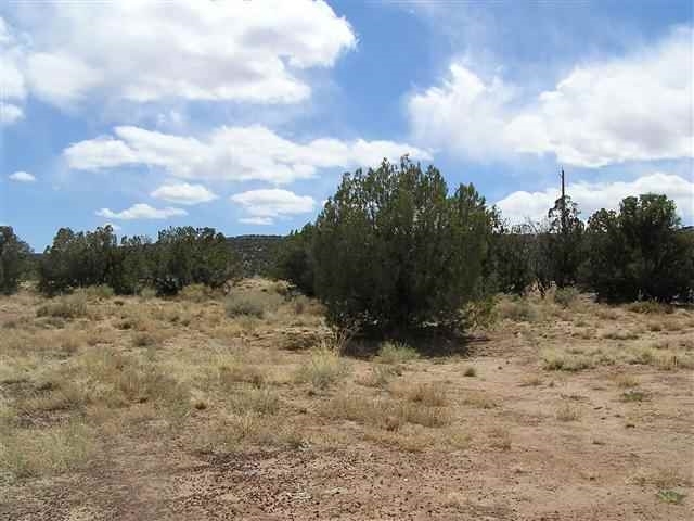 139 Idlewild Ranch Show Low, AZ 85901 - Photo 5 of 13