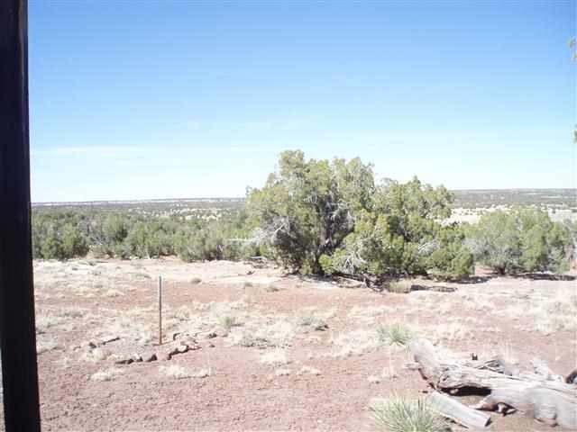 139 Idlewild Ranch Show Low, AZ 85901 - Photo 6 of 13